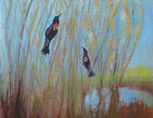 Red-winged Blackbirds