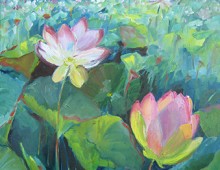 Waterlilies