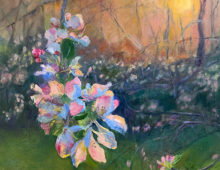 Apple Blossoms at Sunrise