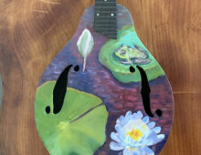 Mandolin for charity