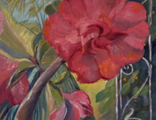 Desert Rose on Front Porch